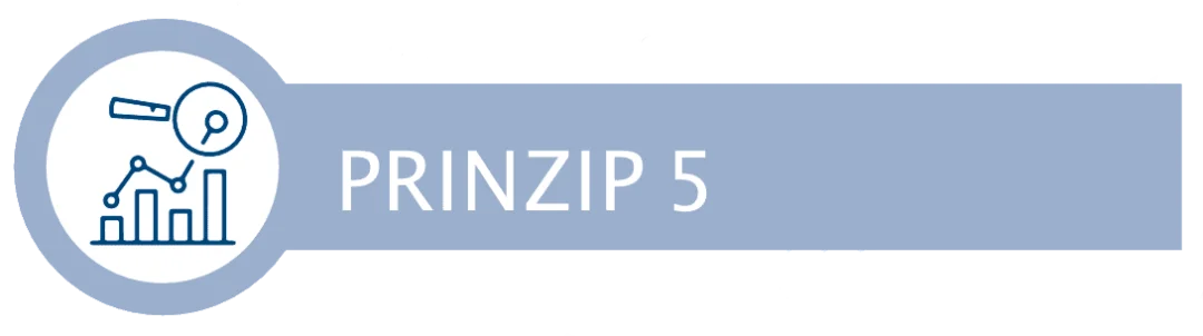 Prinzip 5